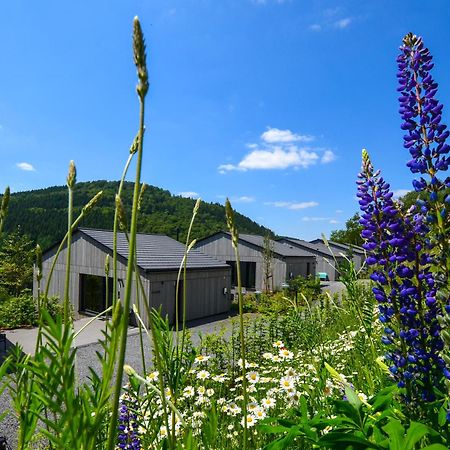 Sauerland Lodge - Haus Maxim Winterberg Exterior photo