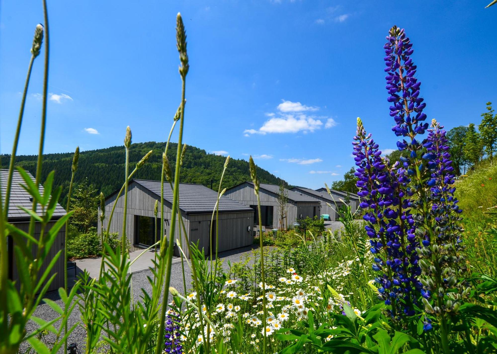 Sauerland Lodge - Haus Maxim Winterberg Exterior photo